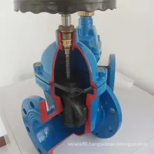 F4 Rubber Wedge Gate Valve